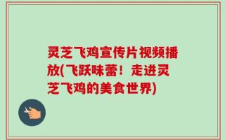 灵芝飞鸡宣传片视频播放(飞跃味蕾！走进灵芝飞鸡的美食世界)