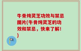 牛骨炖灵芝功效与禁忌图片(牛骨炖灵芝的功效和禁忌，快来了解！)