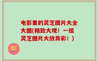 电影里的灵芝图片大全大图(精致大观！一组灵芝图片大放异彩！)