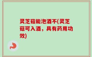 灵芝菇能泡酒不(灵芝菇可入酒，具有药用功效)