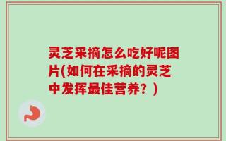 灵芝采摘怎么吃好呢图片(如何在采摘的灵芝中发挥最佳营养？)