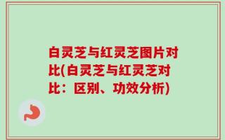 白灵芝与红灵芝图片对比(白灵芝与红灵芝对比：区别、功效分析)