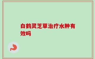 白鹤灵芝草治疗水肿有效吗