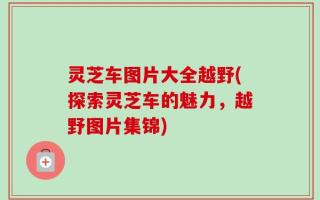 灵芝车图片大全越野(探索灵芝车的魅力，越野图片集锦)