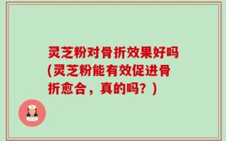 灵芝粉对骨折效果好吗(灵芝粉能有效促进骨折愈合，真的吗？)