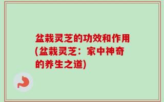 盆栽灵芝的功效和作用(盆栽灵芝：家中神奇的养生之道)