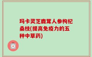 玛卡灵芝鹿茸人参枸杞桑枝(提高免疫力的五种中草药)