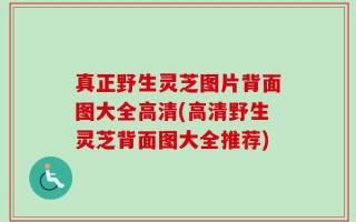 真正野生灵芝图片背面图大全高清(高清野生灵芝背面图大全推荐)