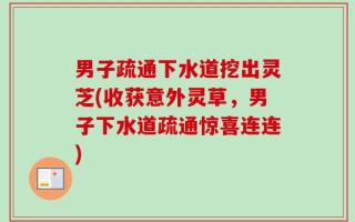 男子疏通下水道挖出灵芝(收获意外灵草，男子下水道疏通惊喜连连)