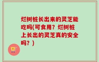 烂树桩长出来的灵芝能吃吗(可食用？烂树桩上长出的灵芝真的安全吗？)