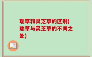 瑞草和灵芝草的区别(瑞草与灵芝草的不同之处)