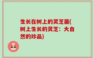生长在树上的灵芝菌(树上生长的灵芝：大自然的珍品)