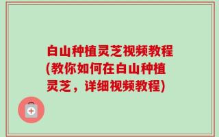 白山种植灵芝视频教程(教你如何在白山种植灵芝，详细视频教程)