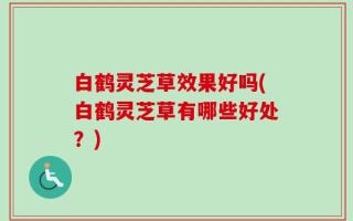 白鹤灵芝草效果好吗(白鹤灵芝草有哪些好处？)