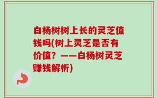 白杨树树上长的灵芝值钱吗(树上灵芝是否有价值？——白杨树灵芝赚钱解析)