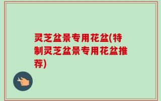 灵芝盆景专用花盆(特制灵芝盆景专用花盆推荐)