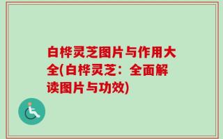 白桦灵芝图片与作用大全(白桦灵芝：全面解读图片与功效)