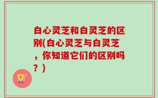 白心灵芝和白灵芝的区别(白心灵芝与白灵芝，你知道它们的区别吗？)