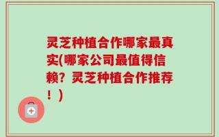 灵芝种植合作哪家最真实(哪家公司最值得信赖？灵芝种植合作推荐！)
