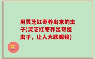 用灵芝红枣养出来的虫子(灵芝红枣养出奇怪虫子，让人大跌眼镜)