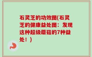 石灵芝的功效图(石灵芝的健康益处图：发现这种超级蘑菇的7种益处！)