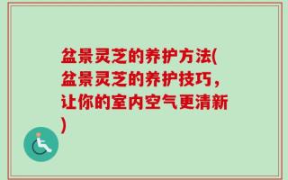 盆景灵芝的养护方法(盆景灵芝的养护技巧，让你的室内空气更清新)