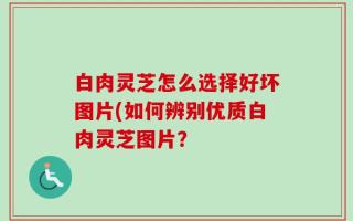 白肉灵芝怎么选择好坏图片(如何辨别优质白肉灵芝图片？