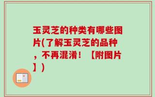 玉灵芝的种类有哪些图片(了解玉灵芝的品种，不再混淆！【附图片】)
