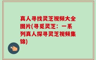 真人寻找灵芝视频大全图片(寻觅灵芝：一系列真人探寻灵芝视频集锦)