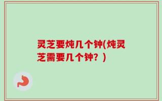 灵芝要炖几个钟(炖灵芝需要几个钟？)