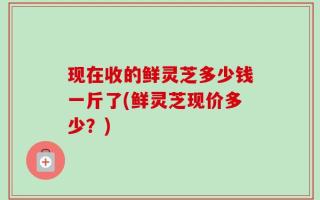 现在收的鲜灵芝多少钱一斤了(鲜灵芝现价多少？)