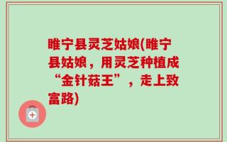 睢宁县灵芝姑娘(睢宁县姑娘，用灵芝种植成“金针菇王”，走上致富路)