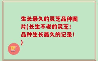 生长最久的灵芝品种图片(长生不老的灵芝！品种生长最久的记录！)