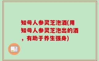 知母人参灵芝泡酒(用知母人参灵芝泡出的酒，有助于养生强身)