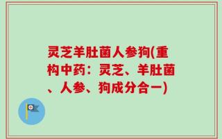 灵芝羊肚菌人参狗(重构中药：灵芝、羊肚菌、人参、狗成分合一)