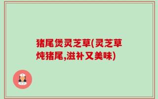 猪尾煲灵芝草(灵芝草炖猪尾,滋补又美味)