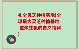 礼全灵芝种植基地(全球最大灵芝种植基地  重焕生机的自然福利)