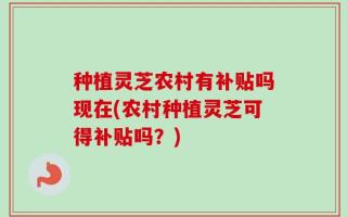种植灵芝农村有补贴吗现在(农村种植灵芝可得补贴吗？)
