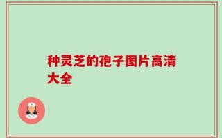 种灵芝的孢子图片高清大全