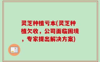 灵芝种植亏本(灵芝种植欠收，公司面临困境，专家提出解决方案)