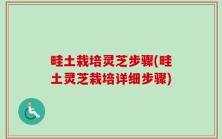 畦土栽培灵芝步骤(畦土灵芝栽培详细步骤)