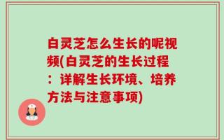 白灵芝怎么生长的呢视频(白灵芝的生长过程：详解生长环境、培养方法与注意事项)