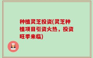 种植灵芝投资(灵芝种植项目引资火热，投资旺季来临)