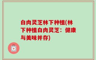 白肉灵芝林下种植(林下种植白肉灵芝：健康与美味并存)