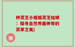 种灵芝小姐姐灵芝姑娘：探寻自然界最神奇的灵草之美)