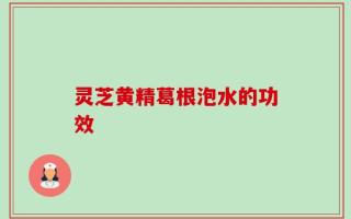 灵芝黄精葛根泡水的功效