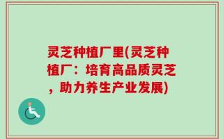 灵芝种植厂里(灵芝种植厂：培育高品质灵芝，助力养生产业发展)