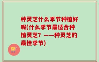 种灵芝什么季节种植好呢(什么季节最适合种植灵芝？——种灵芝的最佳季节)