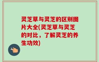 灵芝草与灵芝的区别图片大全(灵芝草与灵芝的对比，了解灵芝的养生功效)