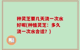 种灵芝要几天浇一次水好呢(种植灵芝：多久浇一次水合适？)